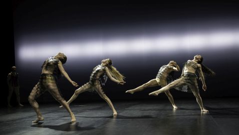 Workshop mit einem Tänzer von Sasha Waltz & Guests